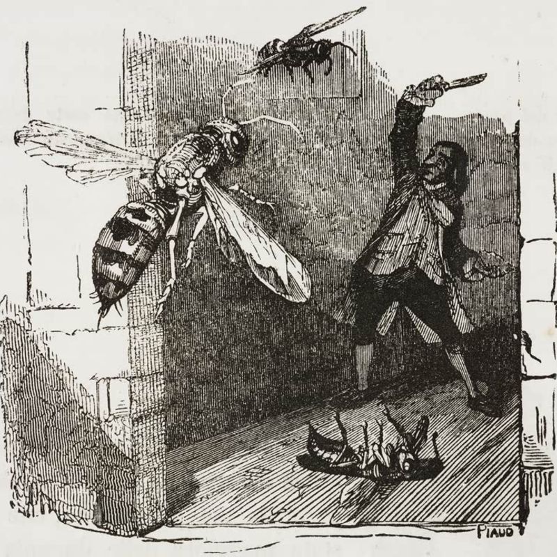 The same scene illustrated by Grandville, 1838.