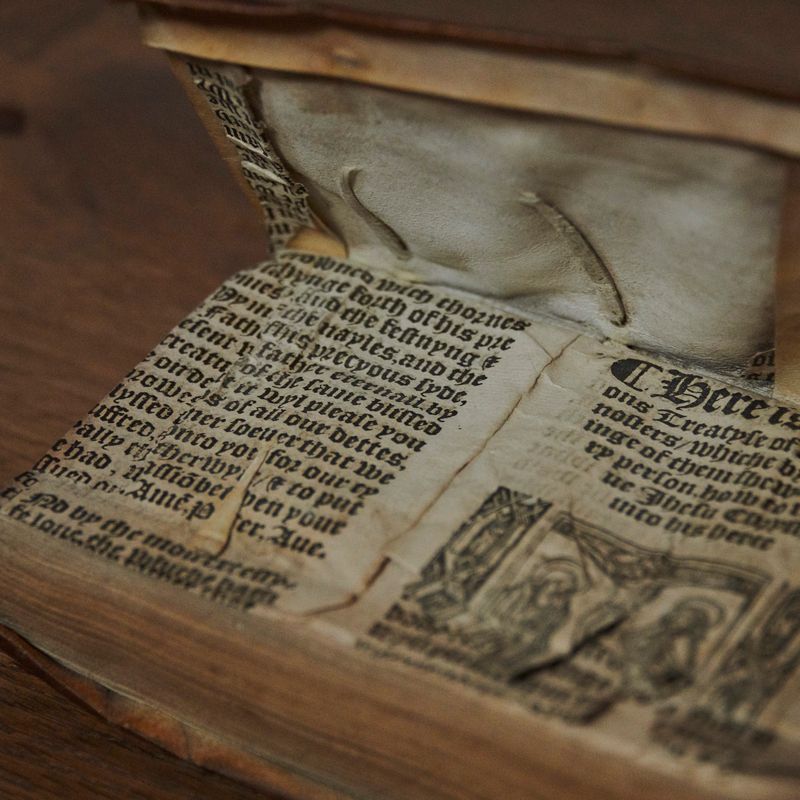 The living book