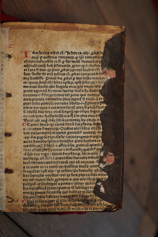 Identifying the remains of an incunabulum