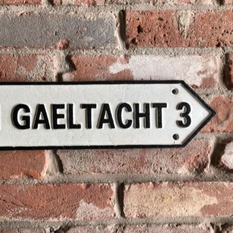 Gaeilge, language of the Irish