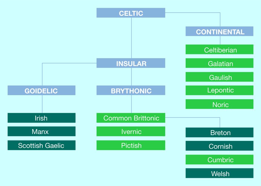 Celtic languages family tree